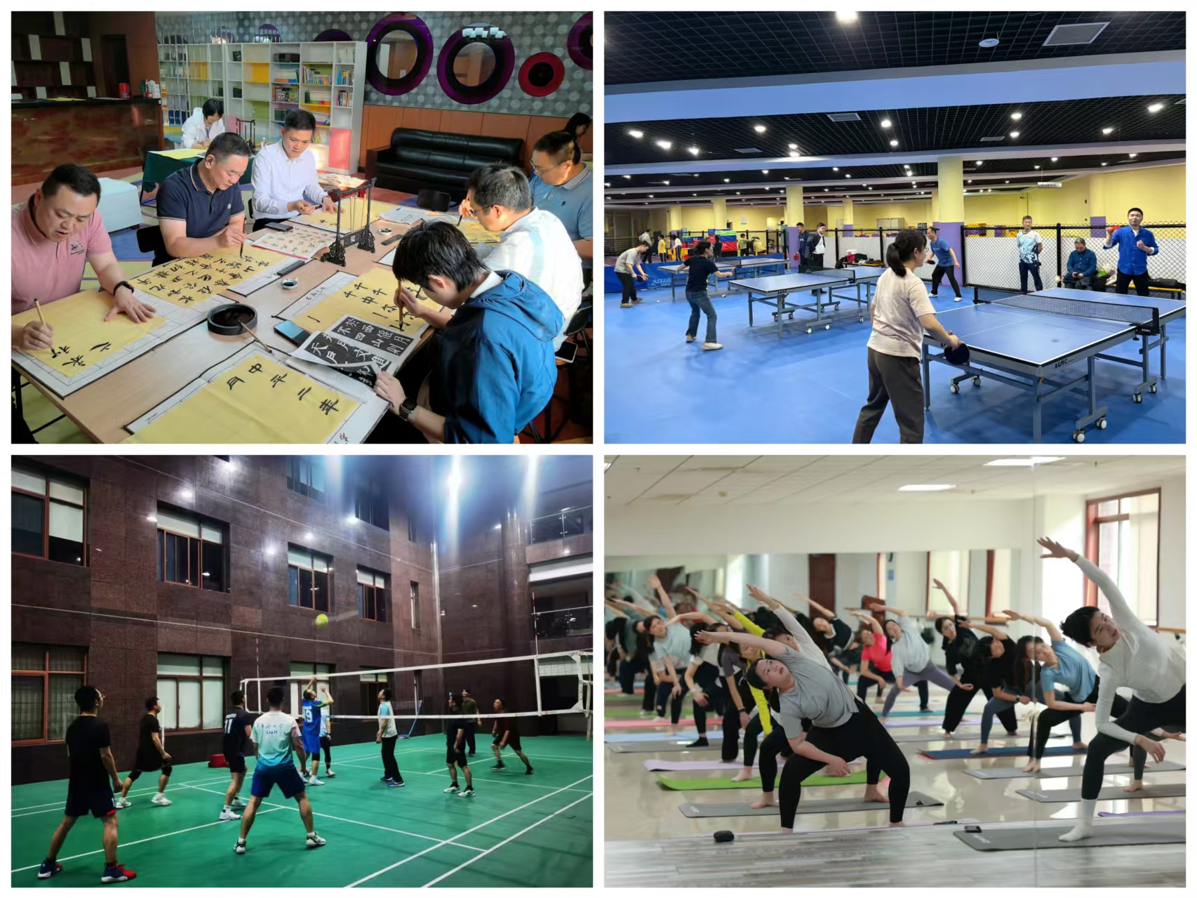 daace023897c6721816110069b3b11e